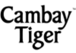 cambay tiger image